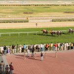 百家樂是腿毛兄时常玩的菠菜项目之一-博彩套利-博彩策略-博彩论坛