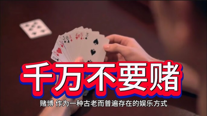 体育博彩分析：如何利用数据提高投注成功率-博彩套利-博彩策略-博彩论坛